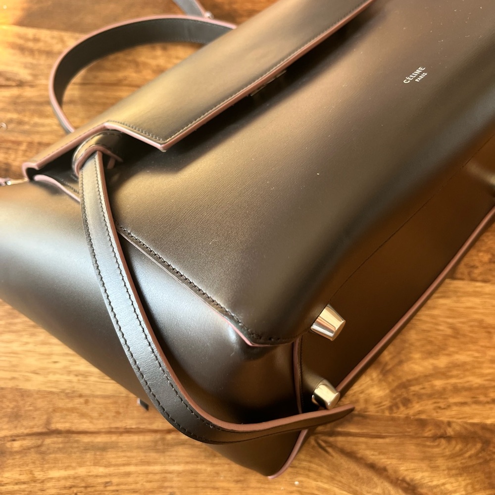 Celine Palmelato Leather Mini Belt Bag Espresso - Picture 2 of 10
